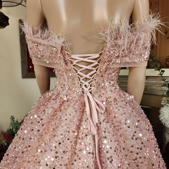 Dreamy Pink Heart-Sequined & Pearl Ball Gown Feathered & Corseted